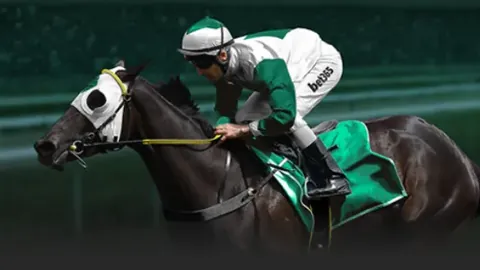 “绿军双塔策略已确立，哈迪助教回溯旧日斗争足迹”