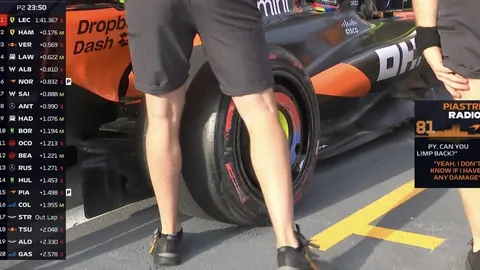 龙游2025亚太汽车拉力赛完美落幕，林德伟和乐柯鹏联袂登顶冠军宝座